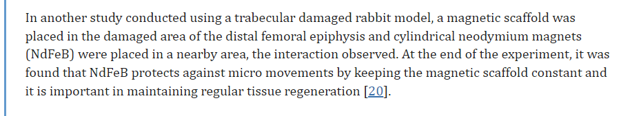 Biomagnetism in rabits